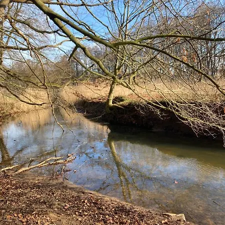 Am Waldrand Mit Sauna * Biendorf