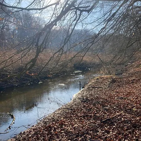 Am Waldrand Mit Sauna アパート